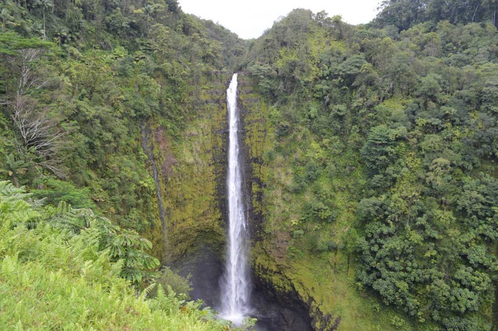 Rondje-om-de-wereld-Big-Island-16