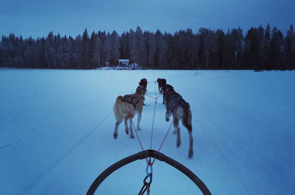 Incentivereis naar Zweeds Lapland