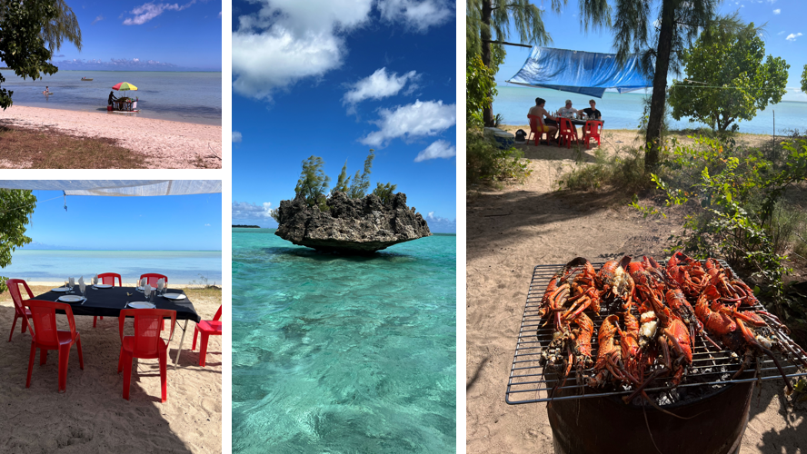 Waanzinnige rondreis naar Zuid-Afrika en Mauritius!