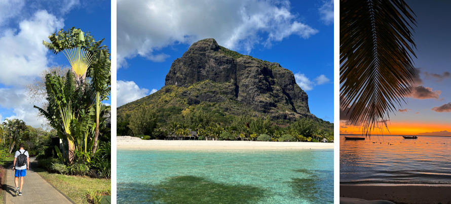 Waanzinnige rondreis naar Zuid-Afrika en Mauritius!