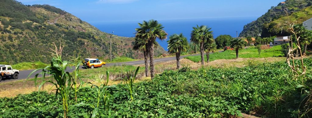 Het Portugese eiland vol groepsreis verrassingen: Madeira!