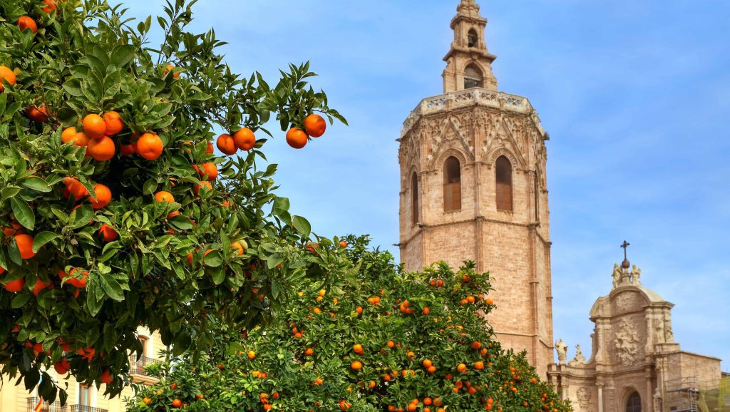 CASE: Vier jullie jubileum ook in het zonnige Valencia! - Jubileumreis Valencia