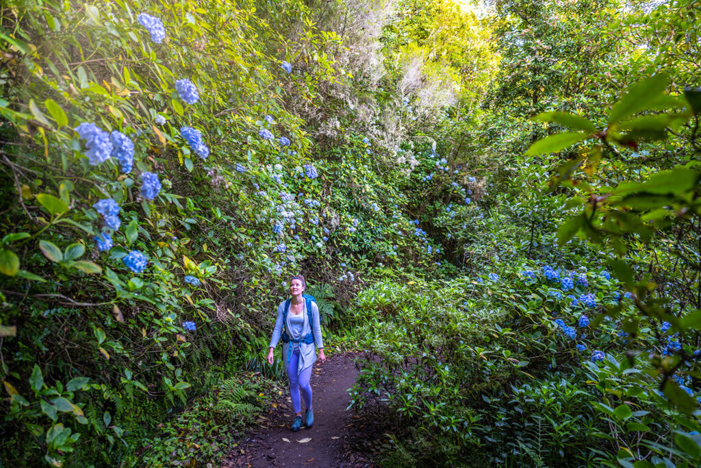 Madeira: avontuurlijke incentive reisbestemming in Europa